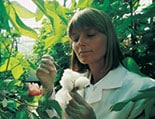 Biotech