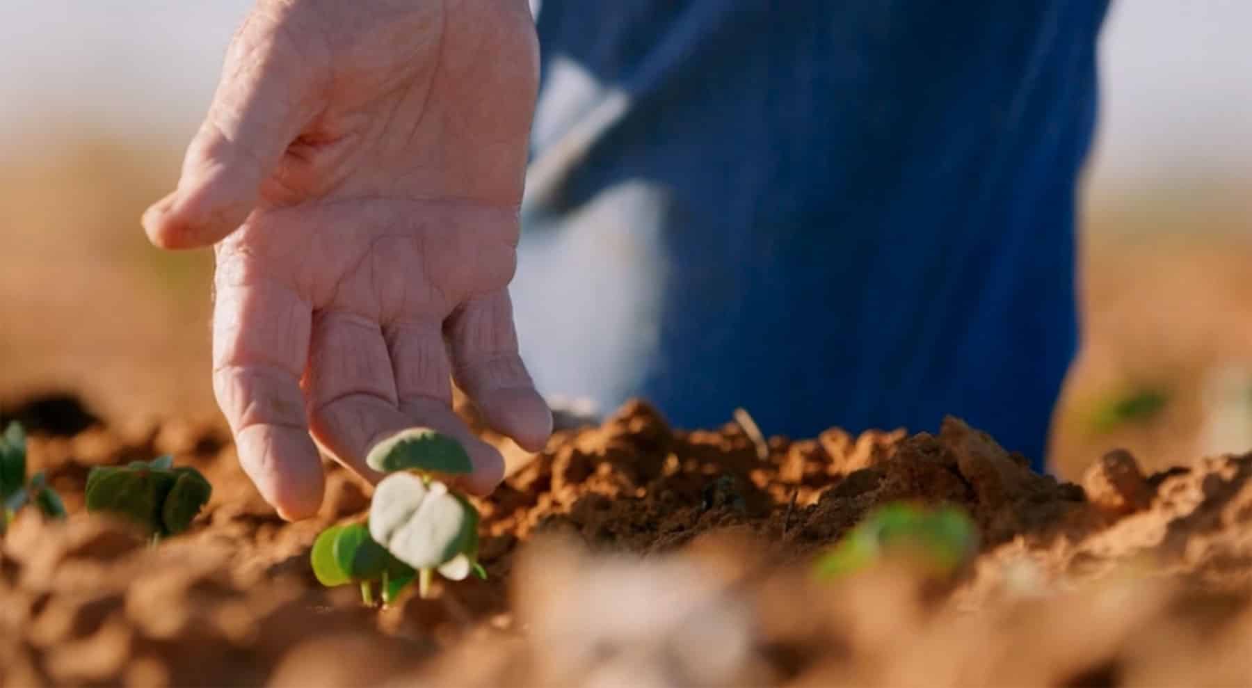 Uncovering the Dirt on Soil Health