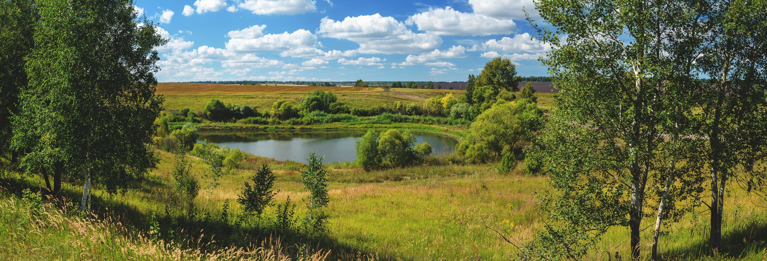 A scenic view of a rural field with trees, and a tranquil pond. The serene scene is set under a clear blue sky with scattered fluffy clouds.