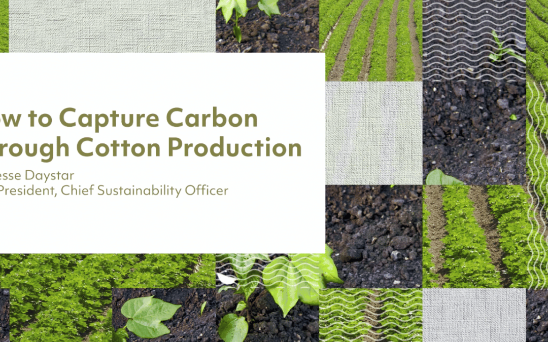 Carbon Capture and Storage
