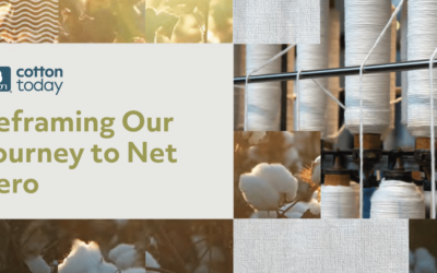 Reframing Our Journey to Net Zero