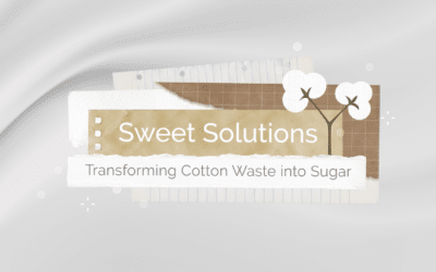 Sweet Solutions: Transforming Cotton Waste into Sugar