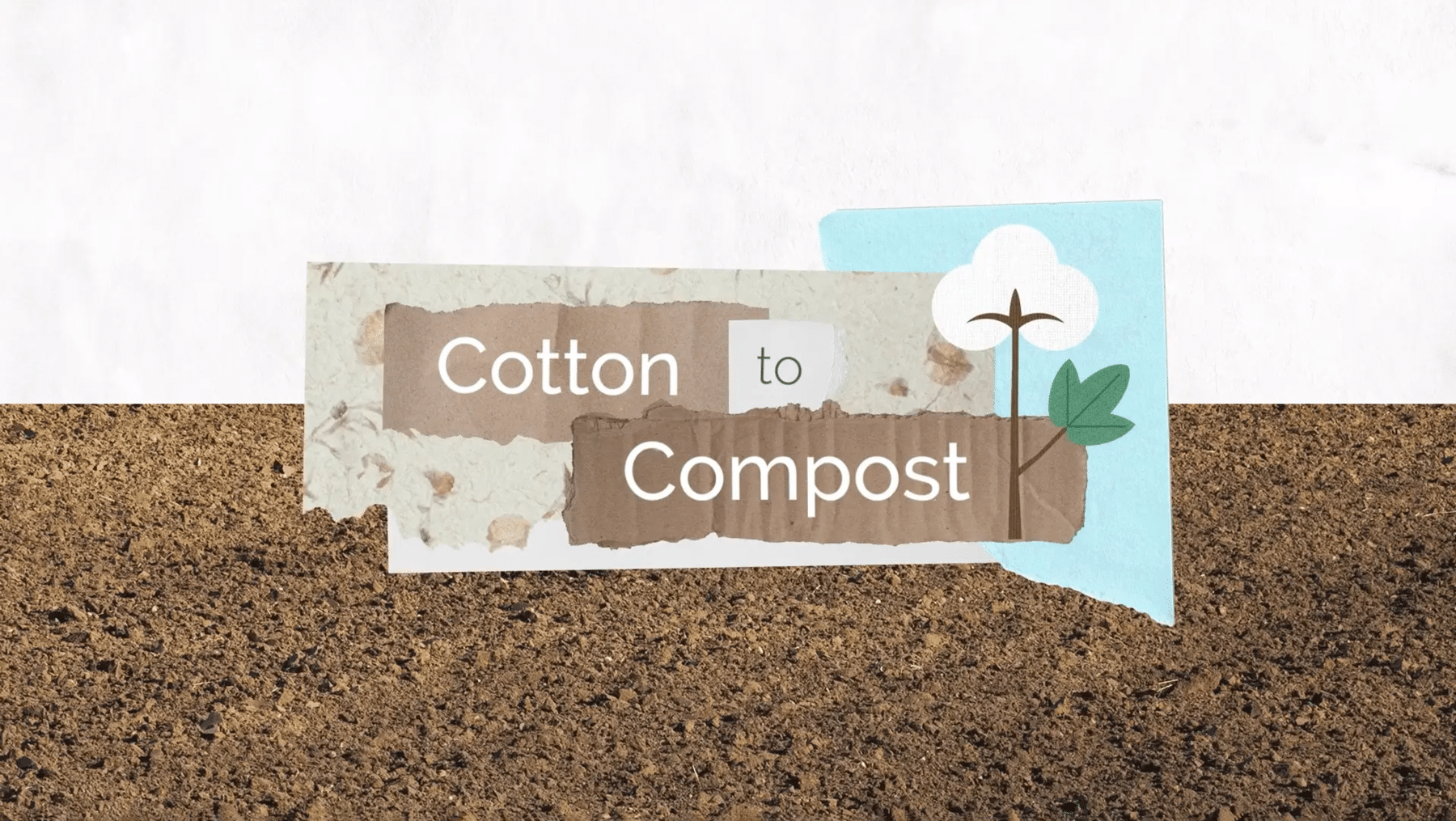 Cotton to Compost