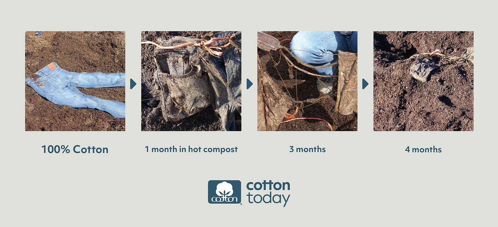 100% cotton decomposes over 4 months