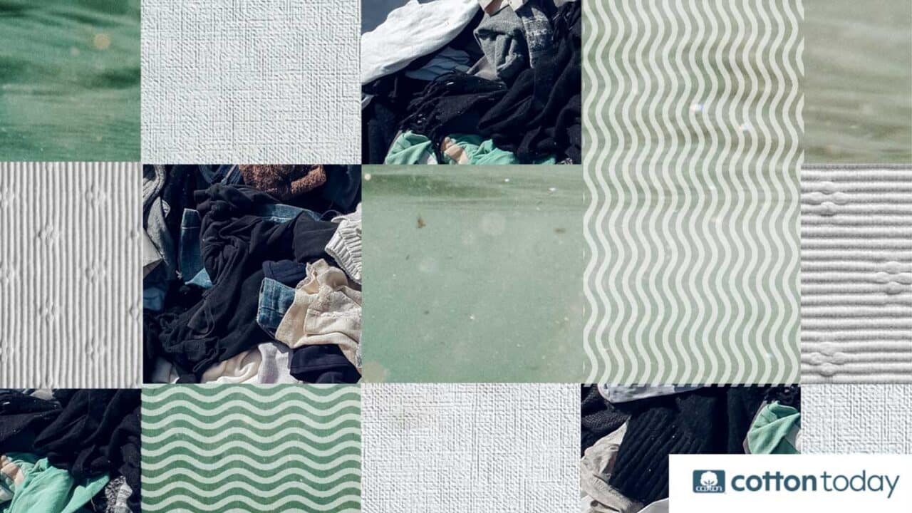 Study Reveals that Cotton Microfibers Biodegrade Faster than Tissue