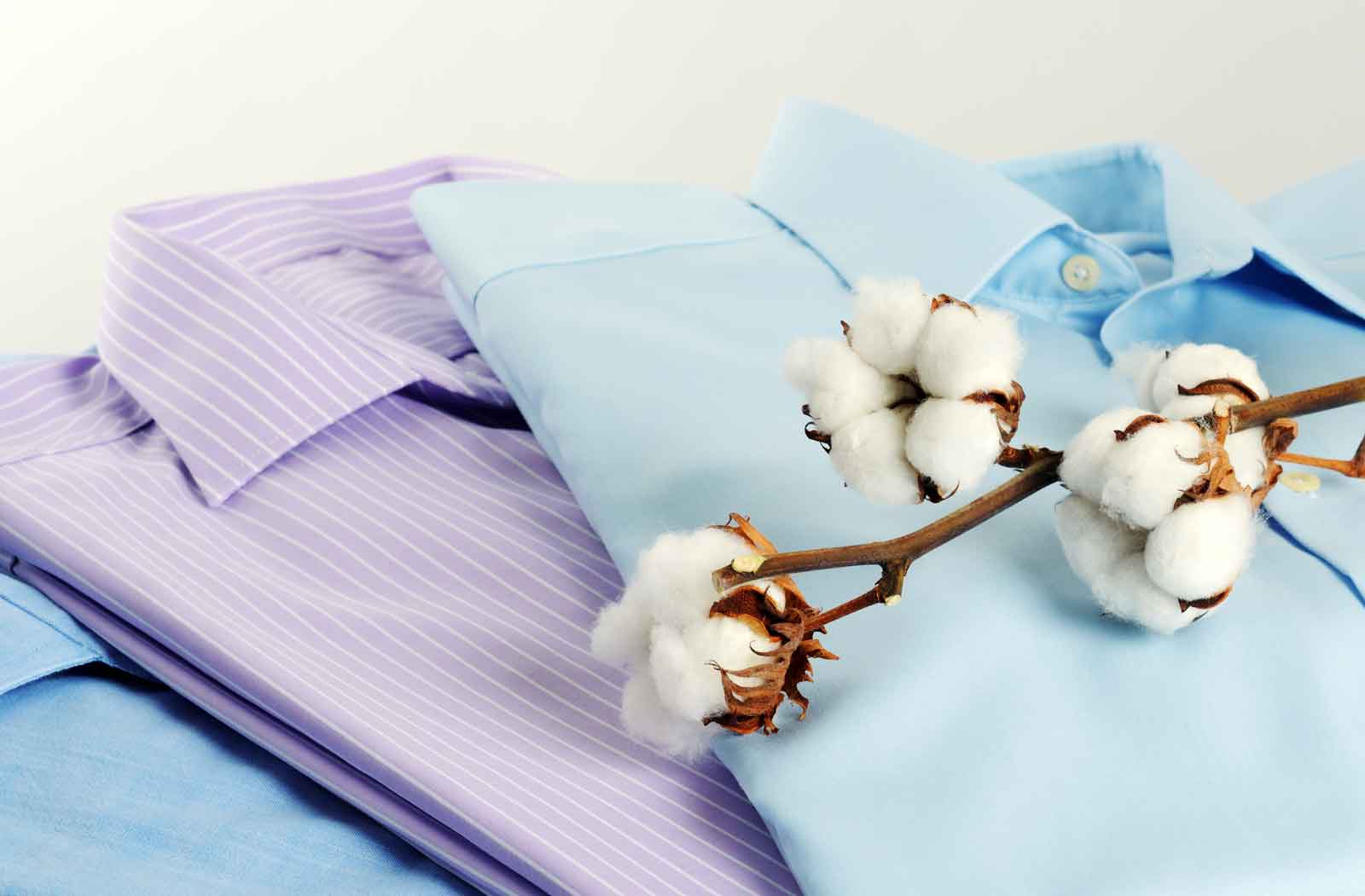 Cotton bolls resting on neatly folded cotton shirts in shades of blue and purple, highlighting natural fiber textiles as an alternative to synthetics.